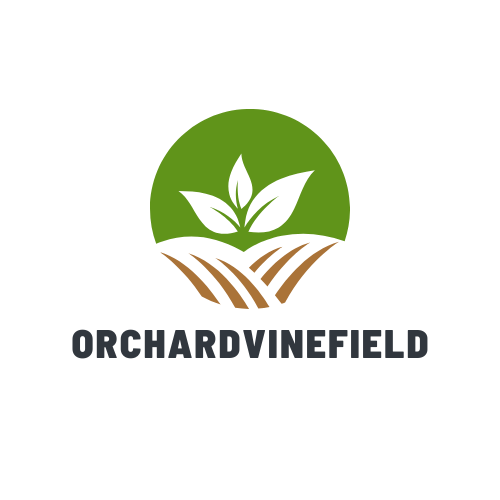 Orchardvinefield